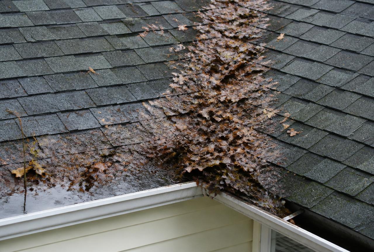 Roof valley and gutter packed with wet oak leaves holding standing water